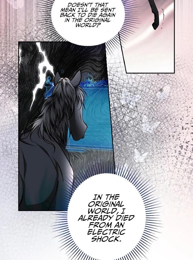 74288318 800 1080 170157